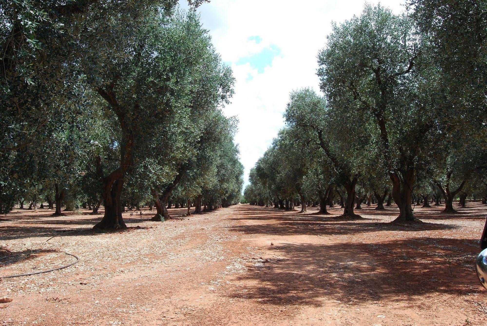 Terra Di Leuca Villa Salve Kültér fotó