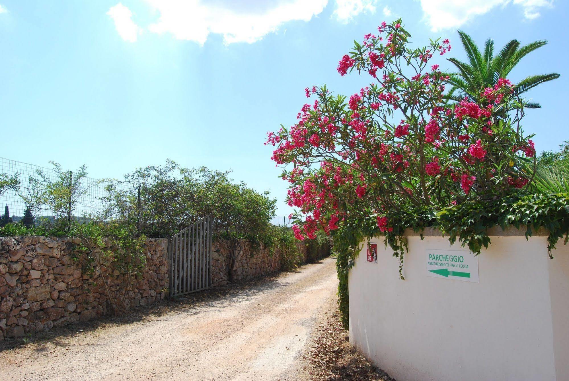 Terra Di Leuca Villa Salve Kültér fotó