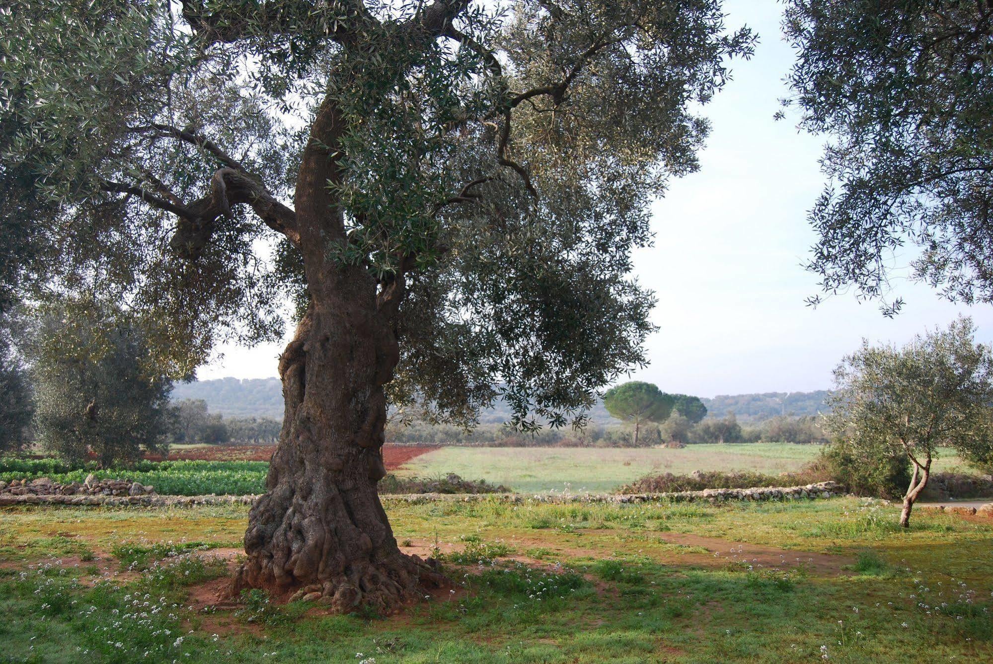 Terra Di Leuca Villa Salve Kültér fotó