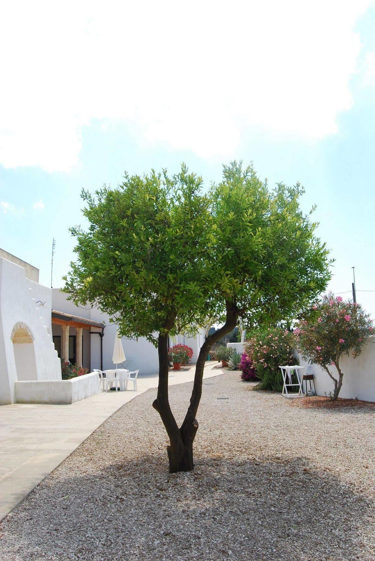 Terra Di Leuca Villa Salve Kültér fotó